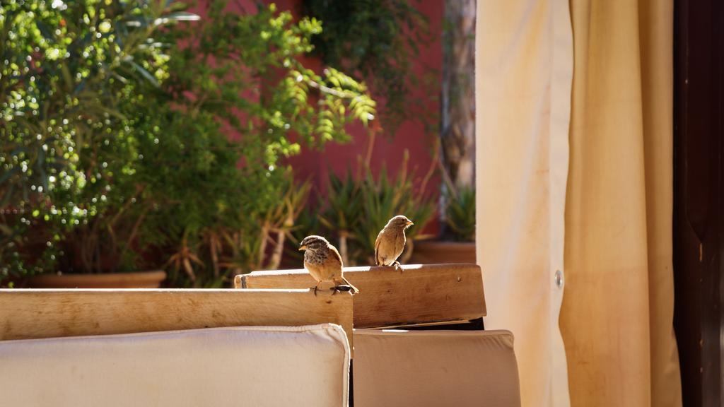 Riad Honey Marraquexe Exterior foto